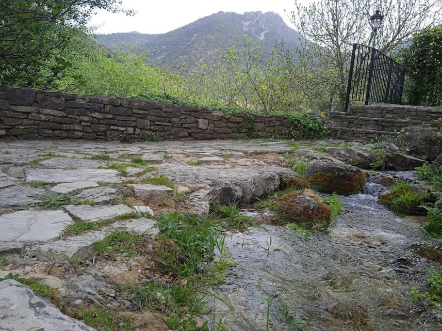 Alojamientos Sierra De Cadiz เบนามาโฮมา ภายนอก รูปภาพ