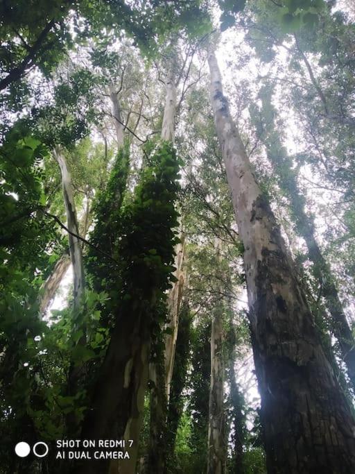 Alojamientos Sierra De Cadiz เบนามาโฮมา ภายนอก รูปภาพ