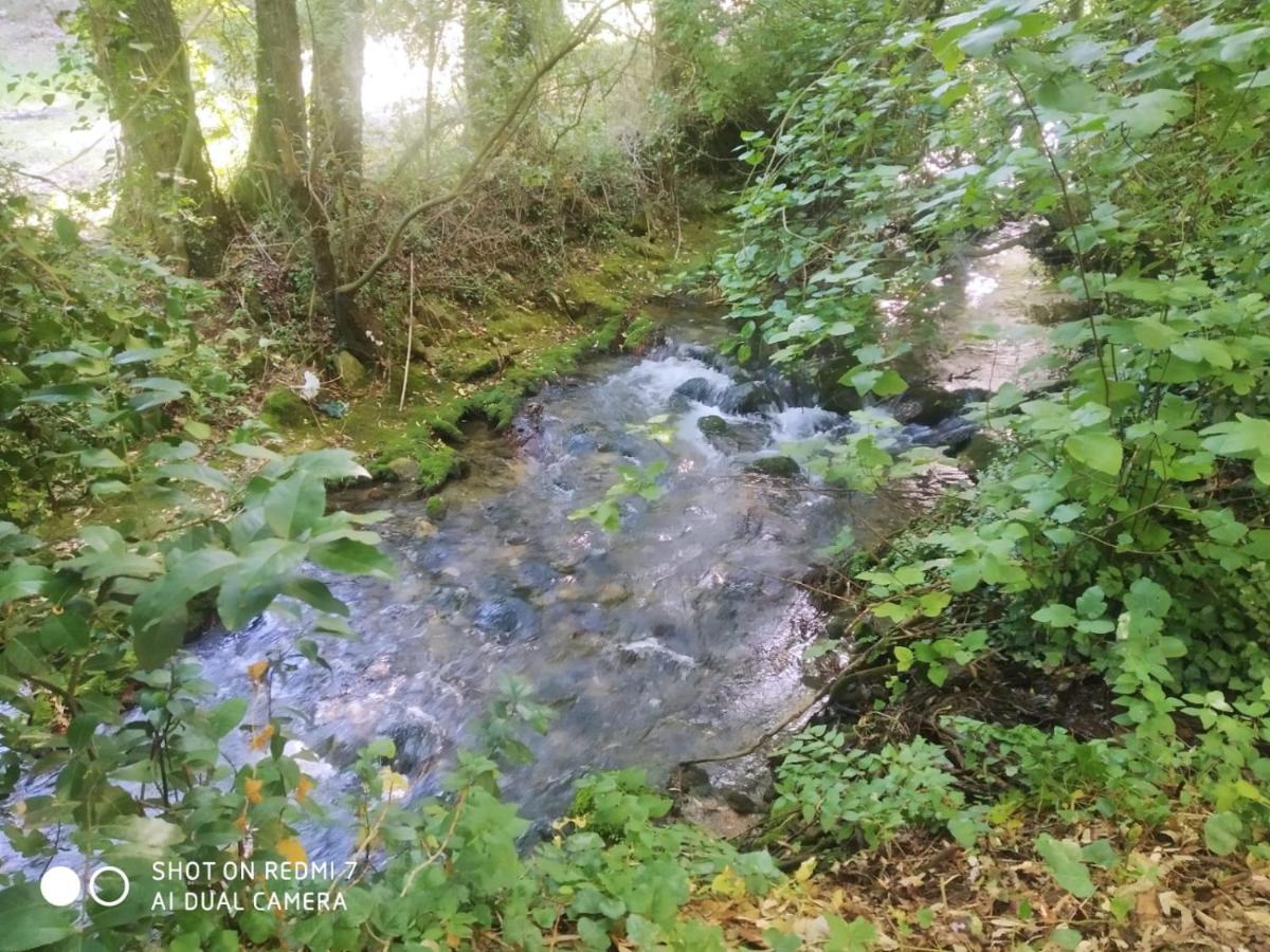 Alojamientos Sierra De Cadiz เบนามาโฮมา ภายนอก รูปภาพ