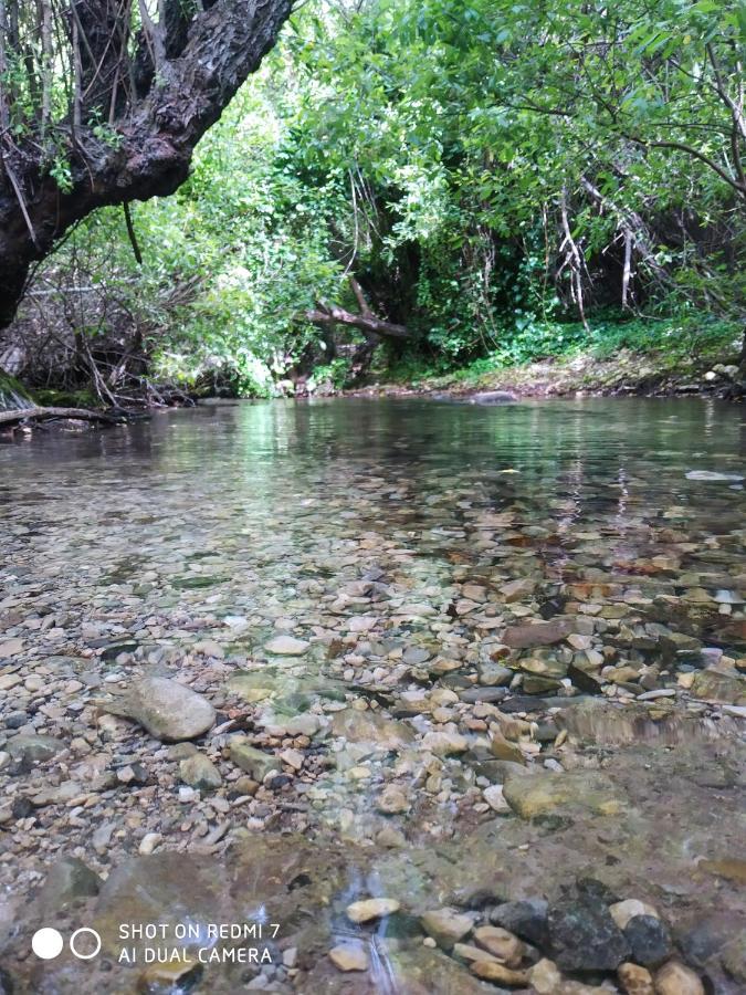 Alojamientos Sierra De Cadiz เบนามาโฮมา ภายนอก รูปภาพ