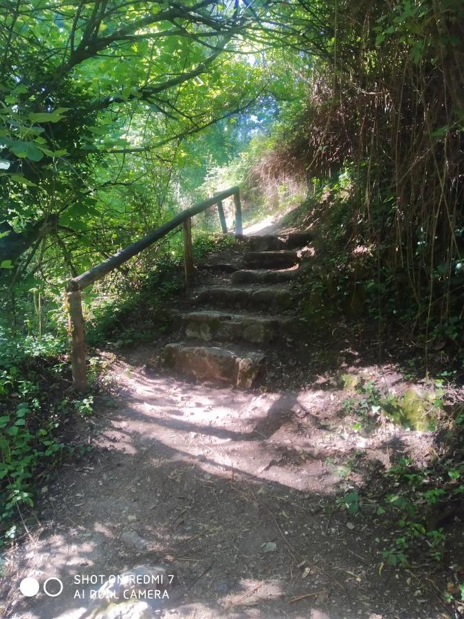 Alojamientos Sierra De Cadiz เบนามาโฮมา ภายนอก รูปภาพ