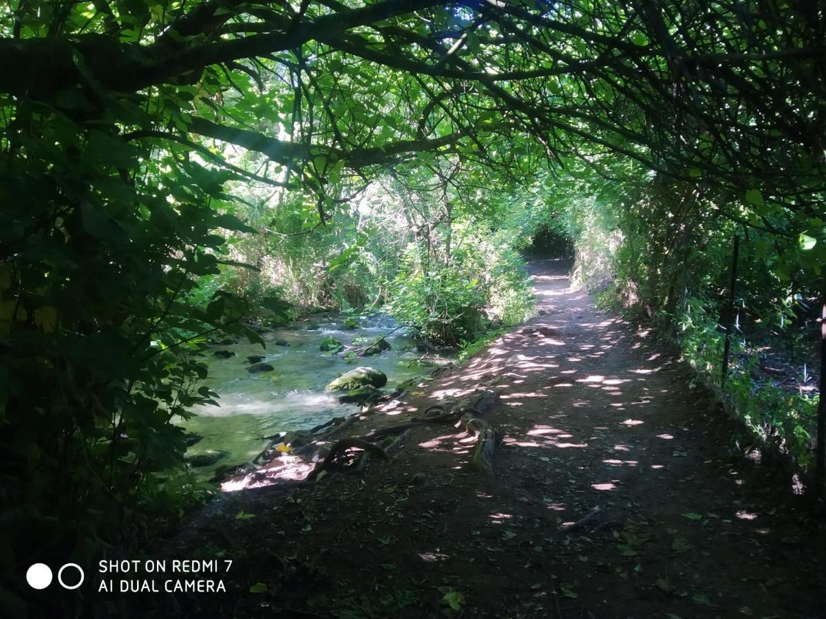 Alojamientos Sierra De Cadiz เบนามาโฮมา ภายนอก รูปภาพ