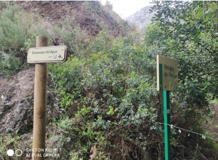 Alojamientos Sierra De Cadiz เบนามาโฮมา ภายนอก รูปภาพ