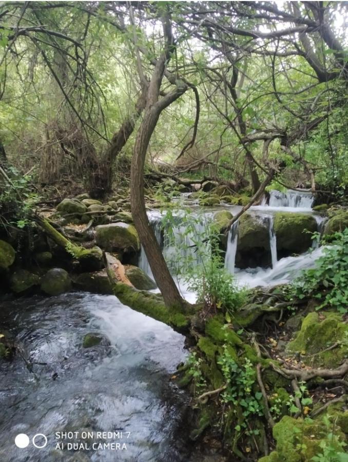 Alojamientos Sierra De Cadiz เบนามาโฮมา ภายนอก รูปภาพ