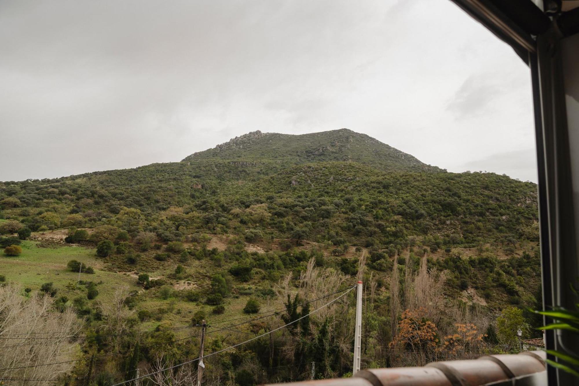 Alojamientos Sierra De Cadiz เบนามาโฮมา ภายนอก รูปภาพ