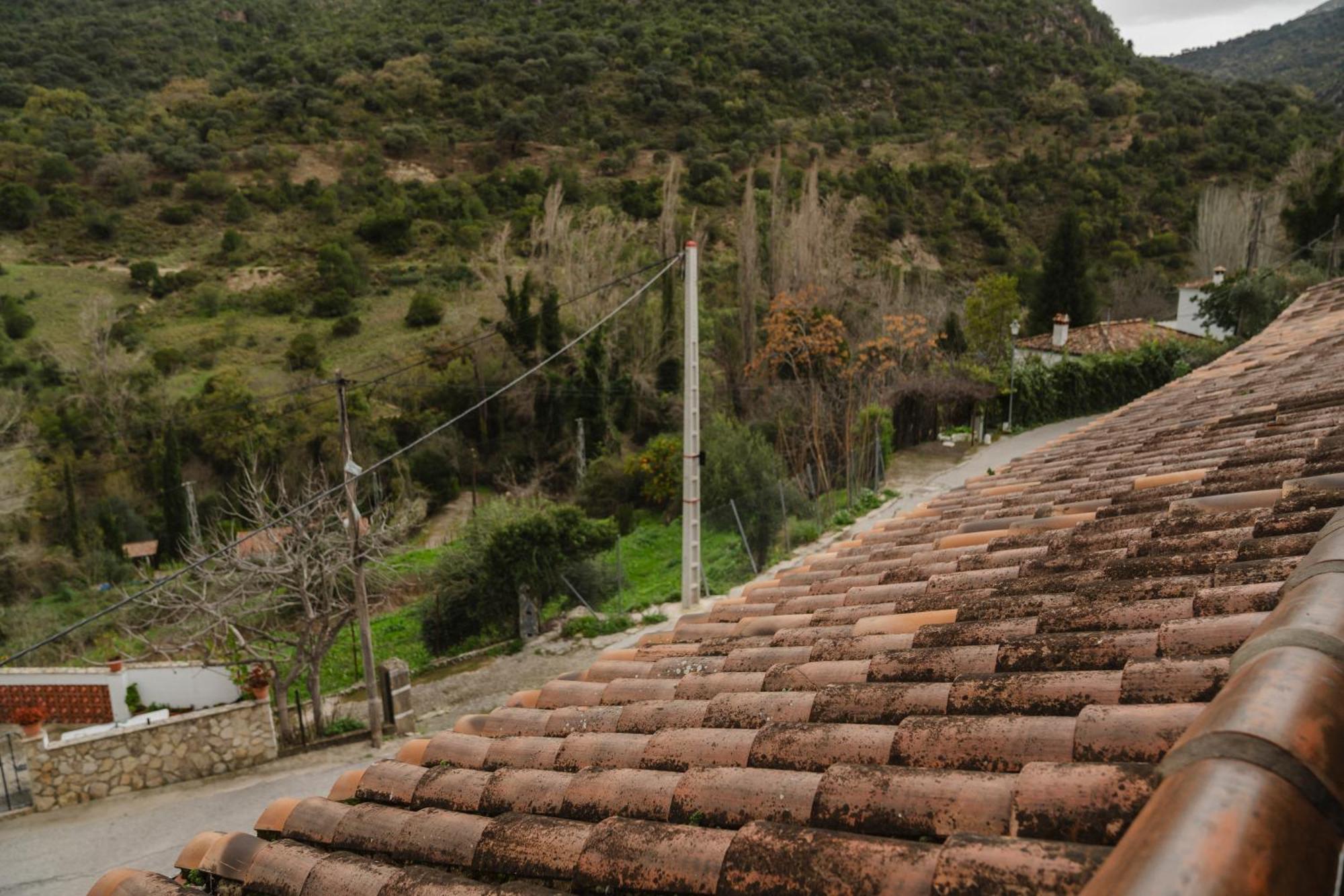 Alojamientos Sierra De Cadiz เบนามาโฮมา ภายนอก รูปภาพ